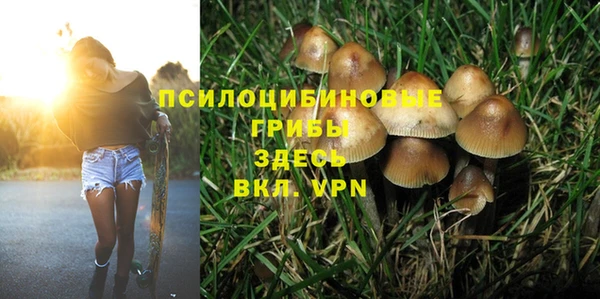 спайс Верхний Тагил