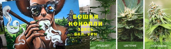трава Верея