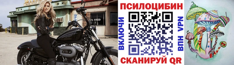 Купить где  Спас-Клепики  Псилоцибиновые грибы GOLDEN TEACHER 
